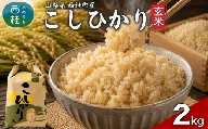 【ふるさと納税】コシヒカリ【玄米】 国産 こしひかり  2キロ 令和7年産 米 お米 保存袋 生活必需品 ギフト 贈り物 お歳暮 ふるさと納税 送料無料[n0674_gou]