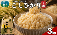 【ふるさと納税】コシヒカリ【玄米】 国産 こしひかり  3キロ 令和7年産 米 お米 保存袋 生活必需品 ギフト 贈り物 お歳暮 ふるさと納税 送料無料[n0675_gou]