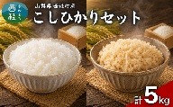 【ふるさと納税】コシヒカリ【精米3キロ＋玄米2キロ】合計5キロ  / 国産 こしひかり 5キロ 令和7年産 米 お米 玄米 保存袋 生活必需品 ギフト 贈り物 お歳暮 ふるさと納税 送料無料 [n0676_gou]