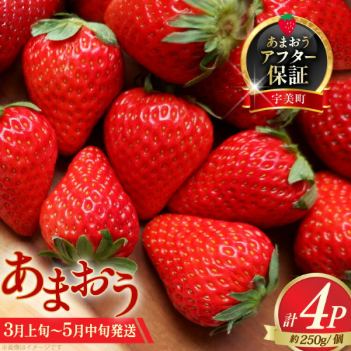 いちご あまおう 先行予約 約250g×4P 3月上旬 5月中旬 【2027年発送】 [一千也フーズ 福岡県 宇美町 um40azp140005] 苺 イチゴ フルーツ ストロベリー 甘い あまい 季節限定 期間限定 1kg 2027 2636236 - 福岡県宇美町