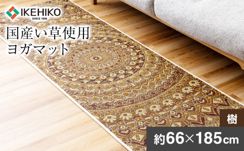 畳ヨガＥＣＯ マンダラ樹 （66×185） おすすめ 福岡県 大木町 AA355 2636458 - 福岡県大木町