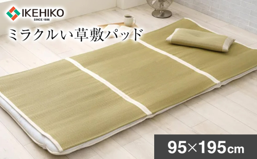 ミラクルい草敷パッド（95×195） おすすめ 福岡県 大木町 AA358 2636459 - 福岡県大木町