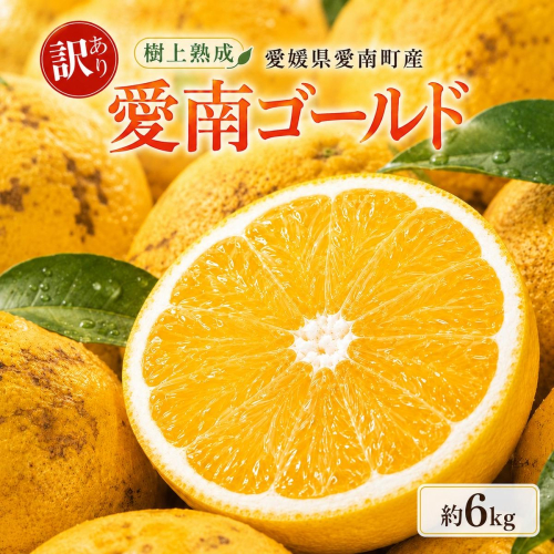 木成り 追熟 訳あり 愛南ゴールド 約6kg 河内晩柑 柑橘 フルーツ 果物 蜜柑 みかん くだもの mikan 家庭用 傷 不揃い 樹上 熟成 サイズミックス かわち ばんかん かんきつ 和製 グレープフルーツ デザート 果実 果汁 甘い ジューシー おいしい 特産品 国産 農園 直送 産地 直送 資格 大学 イノベーター エニシトラス 愛媛県 愛南町  2636771 - 愛媛県愛南町