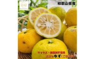 [訳あり・ご家庭用]国産 紀州和歌山の柚子(ゆず)約1kg+200g(傷み補償分)[2026年10月下旬〜2027年1月下旬頃に順次発送][AA-ard079]