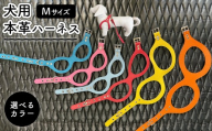 【ネイビー】犬用・本革ハーネス Mサイズ | ハーネス 犬 おしゃれ