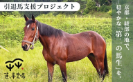 引退馬 飼育支援：寄付金額3,000円（返礼品なし） | 命への恩返し。引退馬に、自然豊かな綾部で穏やかな余生を。綾部市　引退馬の余生を支える。蓮ヶ峰農場 飼育支援寄付
