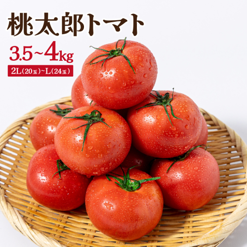 桃太郎トマト　3.5kg～4kg　2L(20玉)～L(24玉) 2637050 - 岡山県鏡野町