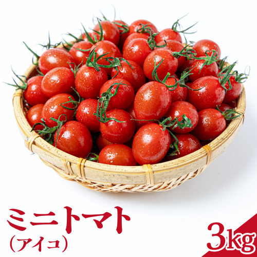 ミニトマト（アイコ）　3kg　Mサイズバラ詰め 2637052 - 岡山県鏡野町