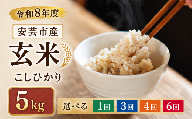 [先行受付] 玄米 令和8年産 こしひかり 15kg 3ヵ月連続 定期便 5kg × 3回 選べる 5kg 10kg 安芸産 6回 4回 3回 1回 お米 精米 新米 ごはん ご飯 高知県産 弁当 おにぎり 料理 新嘗祭皇室献上米 健康志向 もちもち食感 美味しい 農家直送 おにぎり 高級米 ブランド米 炊き立て 食べ比べ 人気 おすすめ 贈答用 ギフト お米の定期便人気 安芸市 高知県