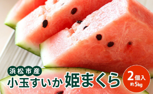 【浜松市産】小玉すいか 姫まくら 2個入 約5kg すいか スイカ 西瓜 果物 くだもの フルーツ プレゼント お中元 糖度 静岡 浜松市【配送不可：離島】  2637539 - 静岡県浜松市