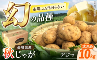 なんぐしデジマ(秋作じゃがいも)大きめ10kg 長崎県/なんぐしデジマプロジェクトチーム [42ALAI008] デジマ じゃがいも ジャガイモ 秋作 秋じゃが 雲仙 長崎 国産 ほくほく 野菜 旬 家庭用