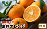 【産地直送】 有田 育ちの 特選 完熟 清見 オレンジ 3kg+200g(補償分)  / みかん 甘い オレンジ フルーツ 果物 有田 和歌山 ※2027年2月下旬～5月上旬に順次発送 ※北海道・沖縄・離島への配送不可 【ard011-p-3B】