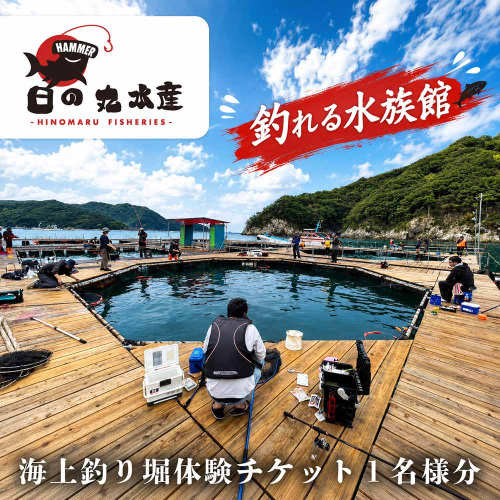 まるで水族館 錦の海に浮かぶ海上釣り堀体験券 １名分 ／ 錦 釣り 釣り堀 海釣り 高級魚 マダイ 伊勢ぶり 家族 親子 体験 観光 三重県 大紀町 2637750 - 三重県大紀町
