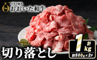 おおいた和牛切り落とし(計1kg・500g×2P)牛肉 お肉 ウデ モモ バラ【110200600】【吉野】
