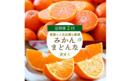 [発送月固定定期便]愛媛の人気2品種を堪能!みかんまどんな食べ比べ(訳あり)全2回[E25-119]_ 定期便 定期 ミカン 蜜柑 柑橘類 柑橘 フルーツ 果物 くだもの 人気 美味しい 愛媛県 八幡浜市 ふるさと [4000687] YW