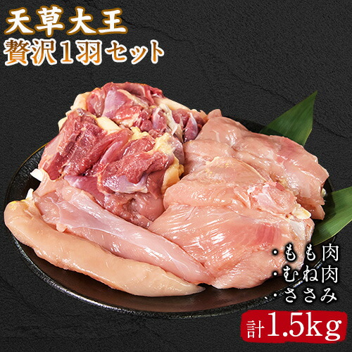 天草大王 贅沢1羽セット 約1.5kg【幻の地鶏】もも・むね・ささみ 各2枚《60日以内に出荷予定(土日祝除く)》 熊本県 葦北郡 津奈木町 2638026 - 熊本県津奈木町