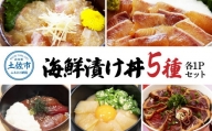 こだわり！土佐の海鮮丼の素５種・各１袋セット【鰹タタキ漬け入り！】