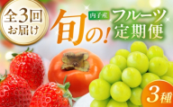 【先行予約】【3回定期便】ぶどう・柿・いちご 旬のフルーツ定期便【北海道・沖縄配送不可】 ／かき カキ ブドウ 葡萄 いちご 苺 イチゴ 果物 フルーツ 国産 産地直送 愛媛 愛媛県 内子町 四国 ふるさと納税 お取り寄せ ギフト 贈り物 プレゼント お歳暮 贈答品 お礼品 返礼品 特産品 おすすめ 人気 秋 【株式会社フジ・アグリフーズ】 [BKAY034]