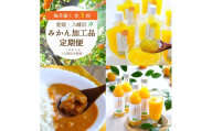 ＜毎月定期便＞おいしい愛媛みかんを使用!こだわりのみかん加工品定期便全3回＜G25-153＞_定期便 ミカン ジュース みかん ゼリー カレー フルーツ 果物 柑橘 くだもの 産地直送 産直 愛媛 食べ比べ 国産 詰合せ 【4012887】 YWTAP095