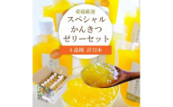 愛媛選り抜き!スペシャルかんきつゼリー12本セット │ みかん 不知火 甘平 清見＜C25-152＞_みかんゼリー ミカン 甘平 不知火 ミカンゼリー 清見 寒天 常温 愛媛県 フルーツ 果物 くだもの 柑橘 かんきつ 人気 産直 食べ比べ 【1452992】 YWTAP094