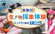 木曽川の生き物採集体験 1～3名まで 体験 チケット 採集 愛西市 / 艶麗 [AEDD007]