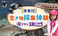 木曽川の生き物採集体験 (夜プラン) 1～3名まで 体験 チケット 採集 愛西市 / 艶麗 [AEDD008]