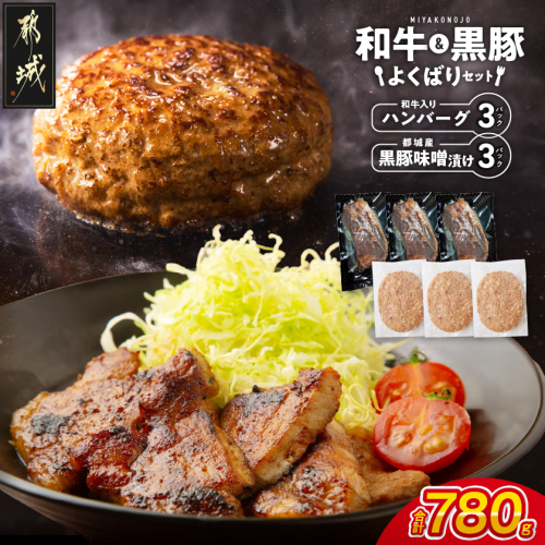 和牛入りハンバーグ&黒豚味噌漬けセット_AA-N4-007 2638684 - 宮崎県都城市