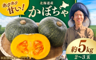 【先行予約/9月順次発送】北海道産 こだわりかぼちゃ 約5kg（2～3玉）| かぼちゃ カボチャ 北海道 野菜 南瓜 | つくしの子農園 [BOAJ001]