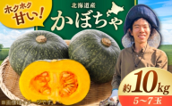 【先行予約/9月順次発送】北海道産 こだわりかぼちゃ 約10kg（5～7玉）| かぼちゃ カボチャ 北海道 野菜 南瓜 | つくしの子農園 [BOAJ002]