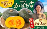 【先行予約/9月順次発送】 訳あり 北海道産 こだわりかぼちゃ 約5kg（2～3玉）| かぼちゃ カボチャ 北海道 野菜 南瓜 | つくしの子農園 [BOAJ003]