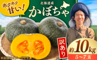 【先行予約/9月順次発送】 訳あり 北海道産 こだわりかぼちゃ 約10kg（5～7玉）| かぼちゃ カボチャ 北海道 野菜 南瓜 | つくしの子農園 [BOAJ004]