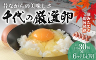 【6ヶ月定期便】卵 純国産鶏 朝どり 厳選卵 30個 割れ保証付き ｜こだわり 高評価 ブランド卵 リピート 希少 朝どり卵 即日発送 プレミアム ファン リピーター多い 濃厚 贈答 解放鶏舎 のびのび 最高の環境 おいしい水 日常 卵かけご飯 栄養価高い飼料 国産鶏 日本古来 こだわり 鮮度 安全 循環農業 群馬県 前橋市