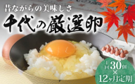 【12ヶ月定期便】卵 純国産鶏 朝どり 厳選卵 30個 割れ保証付き ｜こだわり 高評価 ブランド卵 リピート 希少 朝どり卵 即日発送 プレミアム ファン リピーター多い 濃厚 贈答 解放鶏舎 のびのび 最高の環境 おいしい水 日常 卵かけご飯 栄養価高い飼料 国産鶏 日本古来 こだわり 鮮度 安全 循環農業 群馬県 前橋市