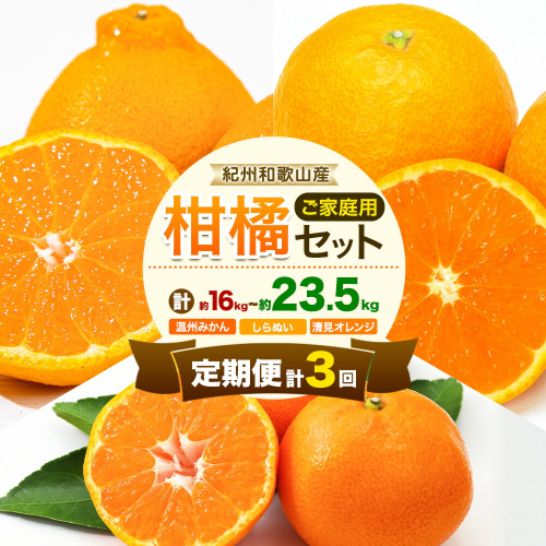 【発送月固定定期便】紀州 和歌山産 旬の ご家庭用 柑橘 セット (みかん 不知火 清見)【全３回】選べる 計16kg 計23.5kg 株式会社魚鶴《2027年1月上旬-4月上旬頃出荷》 和歌山県 日高川町 オレンジ 柑橘 蜜柑 果物 訳あり 送料無料 定期便 2638887 - 和歌山県日高川町