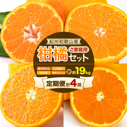 【先行予約】【発送月固定定期便】紀州 和歌山産 旬の ご家庭用 柑橘 セット (みかん 不知火 せとか 清見)【全4回】 計19kg 株式会社魚鶴《2027年1月上旬-5月上旬頃出荷》 和歌山県 日高川町 みかん 不知火 清見 オレンジ 柑橘 蜜柑 果物 訳あり 送料無料 定期便 2638888 - 和歌山県日高川町