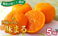 [ 早期受付 ] [ 12月発送 ] 西海みかん 「 味まる 」 5kg 産地直送 ブランドみかん 糖度 12度以上 新鮮 家庭用 温州みかん 佐世保みかん フルーツ 柑橘 オレンジ デザート ジュース ゼリー にも最適 JA西海 長崎県 佐世保市