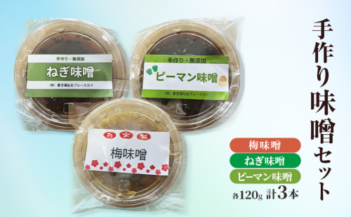手作り味噌セット 梅 ねぎ ピーマン 各120g 味噌 みそ セット 2638899 - 福岡県大刀洗町