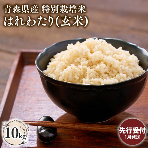 ≪令和8年産 先行予約≫1月中旬よりお届け! 　特別栽培米 はれわたり玄米10kg 2638949 - 青森県平川市