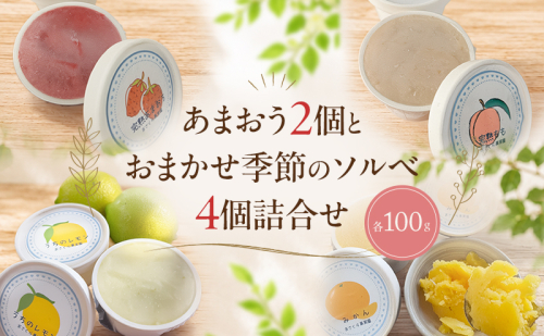 自家栽培果実 ソルベ 詰合せ あまおう2個とおまかせ季節のソルベ4個＜Cafe 楓＞ 果実 果物  苺 イチゴ デザート ※配送不可:離島 2638952 - 福岡県朝倉市