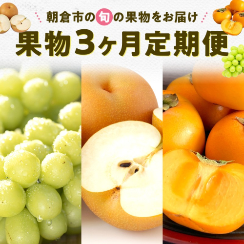 果物 3ヶ月 定期便 先行予約 2026年8月より順次発送 (シャインマスカット、梨、柿) フルーツ 3回 ※配送不可：離島 2639009 - 福岡県朝倉市