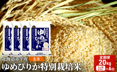 玄米 北海道赤平産 ゆめぴりか 20kg (5kg×4袋) 特別栽培米 【1ヵ月おきに6回お届け】 米 北海道 定期便 ふるさと納税 2639013 - 北海道赤平市