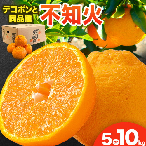 【先行予約】熟成貯蔵 不知火 約 5kg または 約 10kg (L～5Lサイズ) どの坂果樹園《2027年2月中旬-4月上旬頃出荷》 和歌山県 日高町 しらぬい 不知火 デコポン でこぽん 旬 果物 フルーツ 柑橘 産地直送 送料無料 春みかん(デコポン と同品種) 2639014 - 和歌山県日高町