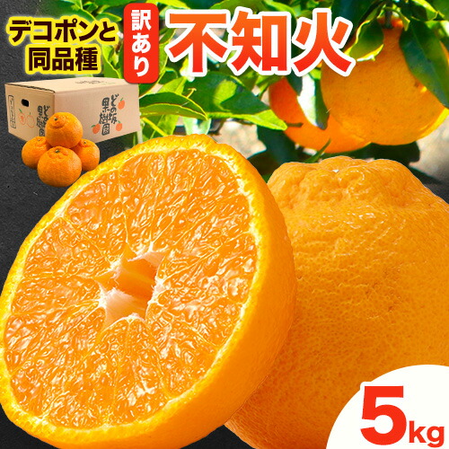 【先行予約】熟成貯蔵 訳あり 不知火 しらぬい 約 5kg (M～5Lサイズ) どの坂果樹園《2027年2月上旬-4月上旬頃出荷》 和歌山県 日高町 しらぬい でこぽん 旬 果物 フルーツ 柑橘 訳あり不知火 訳ありデコポン 訳ありしらぬい デコポン と同品種 規格外 傷あり 2639017 - 和歌山県日高町
