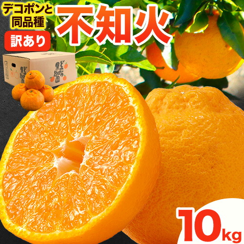 【先行予約】 デコポン 訳あり 不知火 ( デコポン と同品種 ) しらぬい 約 10kg (M～5Lサイズ) どの坂果樹園《2027年2月上旬-4月上旬頃出荷》 和歌山県 日高町 しらぬい でこぽん 旬 果物 フルーツ 柑橘 訳あり不知火 訳ありデコポン 訳ありしらぬい 2639018 - 和歌山県日高町