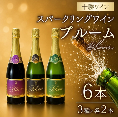 十勝ワイン ブルーム6本セット スパークリング 北海道ワイン シャルドネ 山幸 白 食前酒 お祝い 辛口  2639106 - 北海道池田町