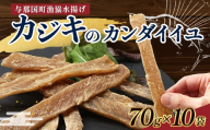 与那国島産 カジキのカンダイイユ（70g）×10個 G017 │沖縄県 与那国町 与那国島 カジキ 魚 干物 乾物 カンダイイユ おつまみ 酒のお供 旅のお供 おやつ 珍味