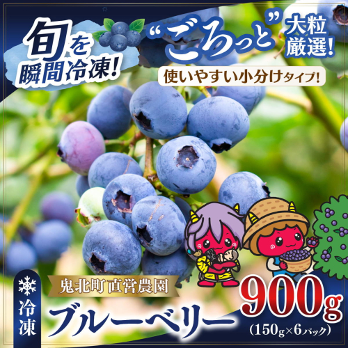 【先行予約】【選別済み大粒】冷凍ブルーベリー900g（150g×6P） | 選別済み 大粒 国産 個包装 小分け 冷凍 鬼北町直営農園 果実 フルーツ 果物 くだもの 朝食 ヨーグルト　鬼北町役場 日吉支所 愛媛県 ※2026年8月～発送 2639734 - 愛媛県鬼北町