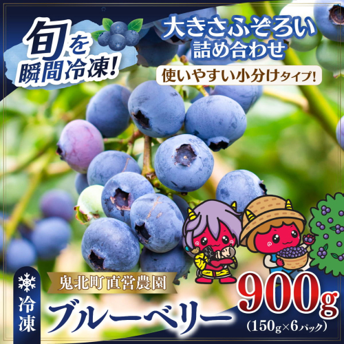 【先行予約】【大きさ形ふぞろい】冷凍ブルーベリー900g（150g×6P） | 無選別 不揃い 国産 個包装 小分け 冷凍 鬼北町直営農園 果実 フルーツ 果物 くだもの 朝食 ヨーグルト　鬼北町役場 日吉支所 愛媛県 ※2026年8月～発送 2639735 - 愛媛県鬼北町
