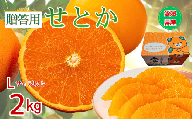 【2027年先行予約】せとか みかん 愛媛 2kg 贈答用 人気 数量限定【2027年1月中旬以降発送】 柑橘 愛媛県産 伊予市｜B549