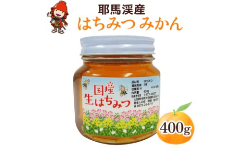 中津・耶馬渓のはちみつ みかん 400g × 1瓶 | 国産 蜂蜜 はちみつ ハチミツ みかん 蜜柑 ミカン 瓶 大分県産 九州産 大分県 中津市 264022 - 大分県中津市